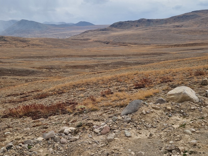 20250925_162351 (Kopiowanie).jpg