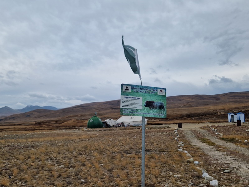 20250925_164545(0) (Kopiowanie).jpg