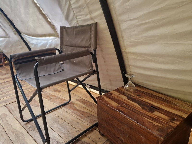 20250925_171554 (Kopiowanie).jpg