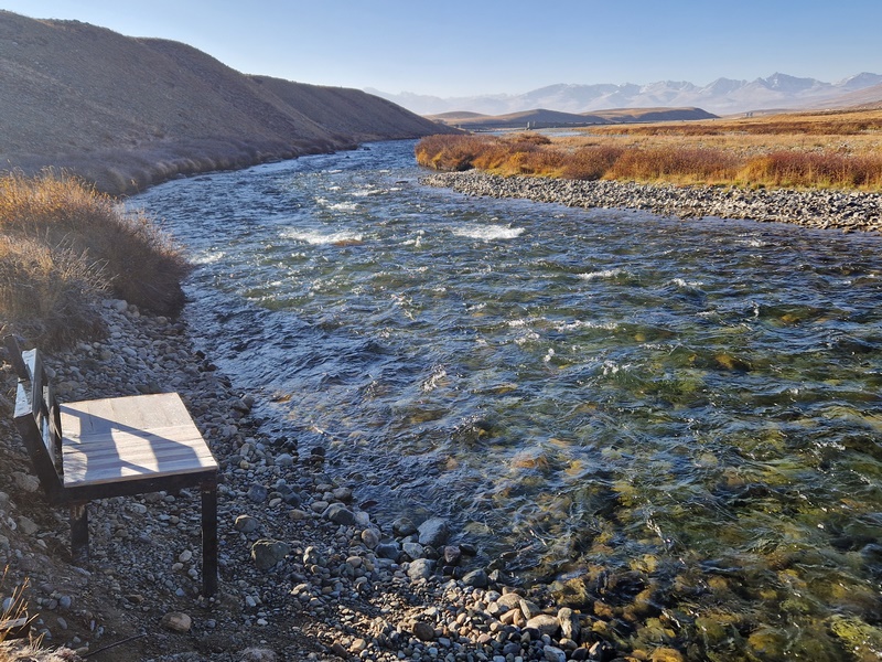 20250926_071928 (Kopiowanie).jpg