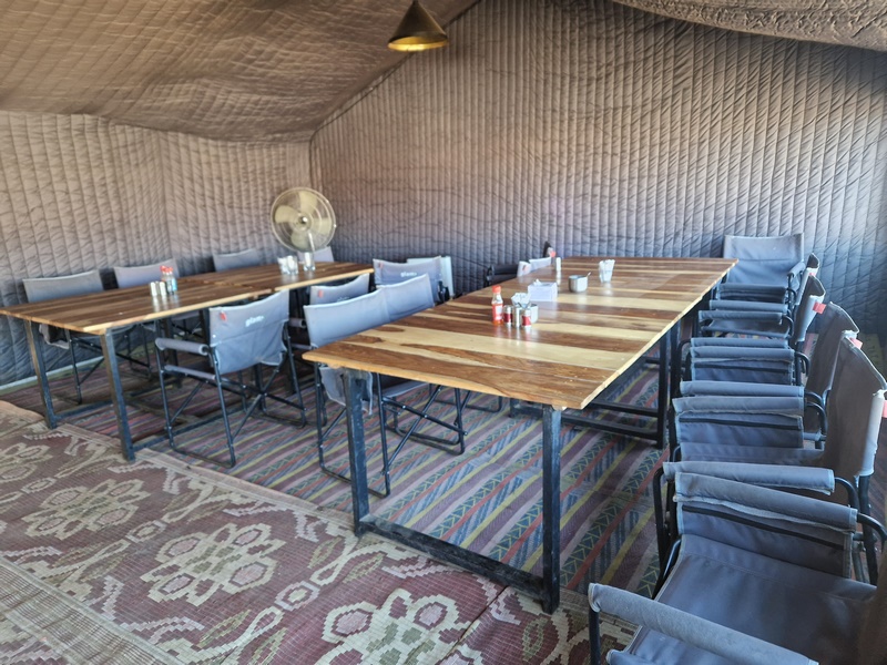 20250926_073624 (Kopiowanie).jpg