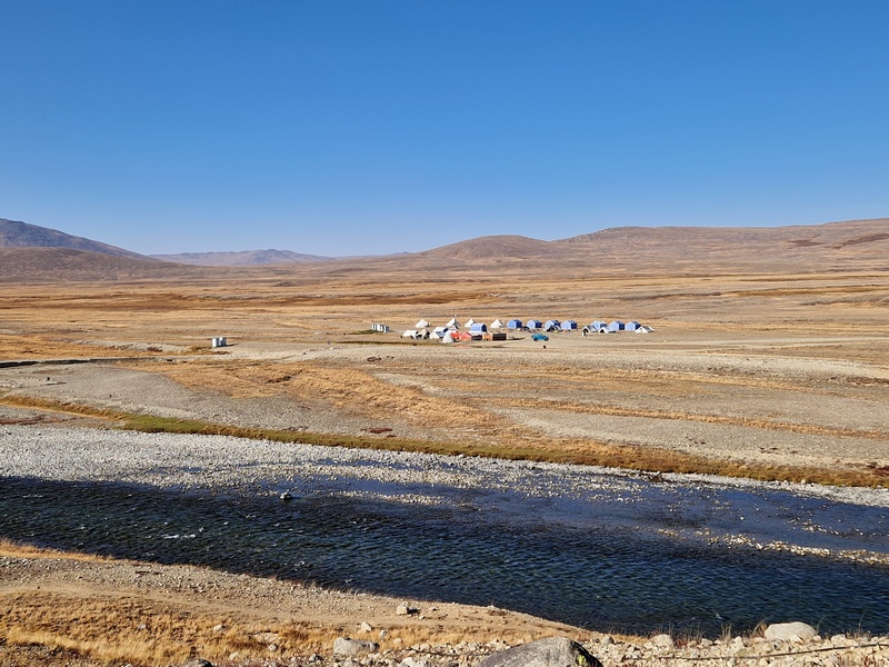 20250926_081504 (Kopiowanie).jpg