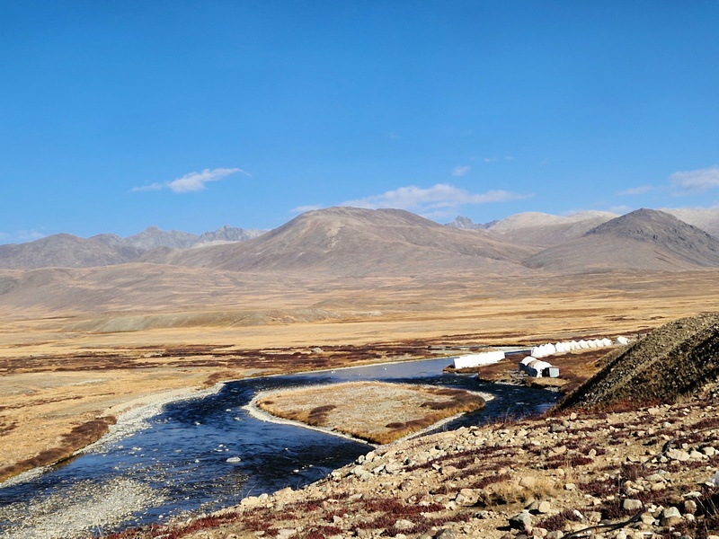 20250926_081534(0) (Kopiowanie).jpg