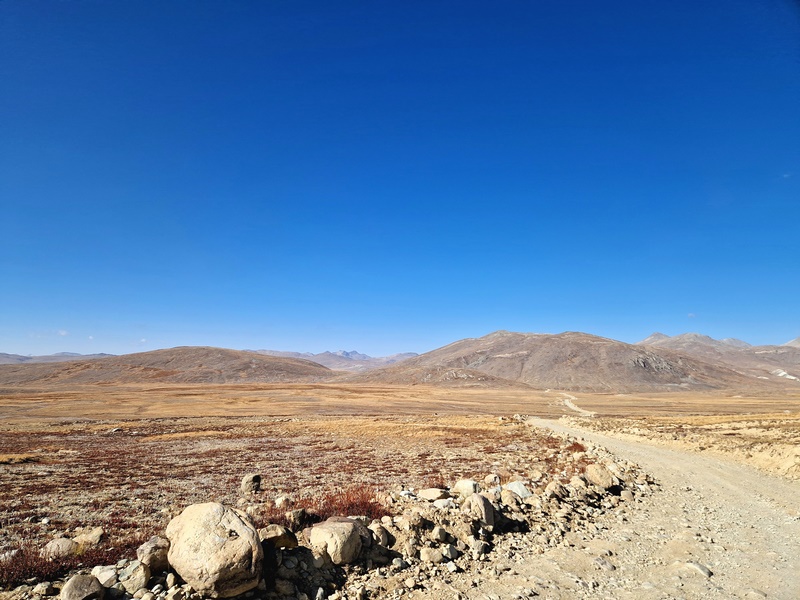 20250926_084113 (Kopiowanie).jpg