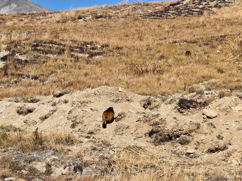 20250926_090235 (Kopiowanie).jpg