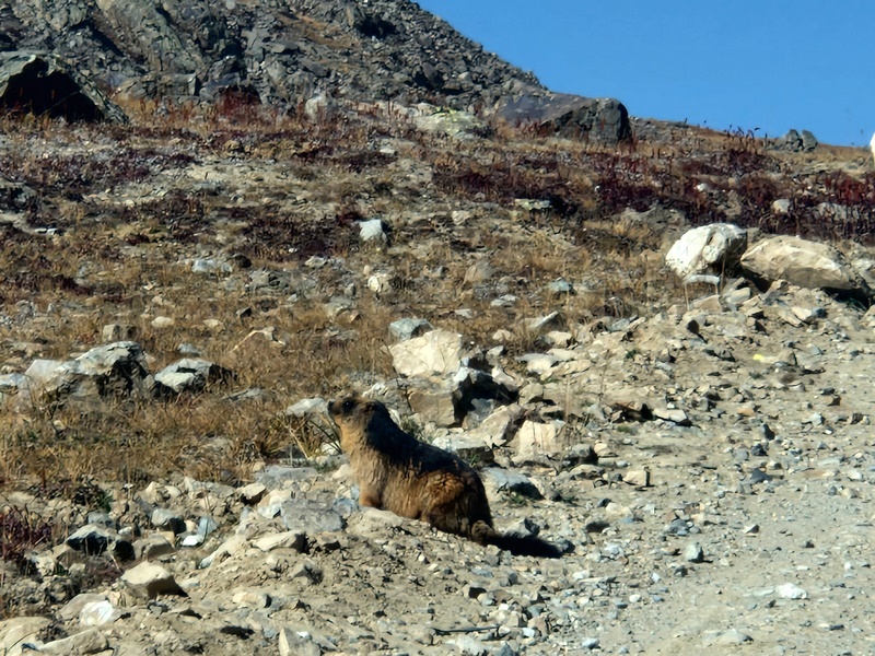 20250926_094137 (Kopiowanie).jpg