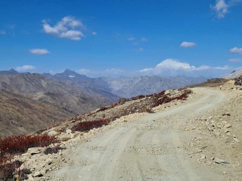 20250926_094828 (Kopiowanie).jpg