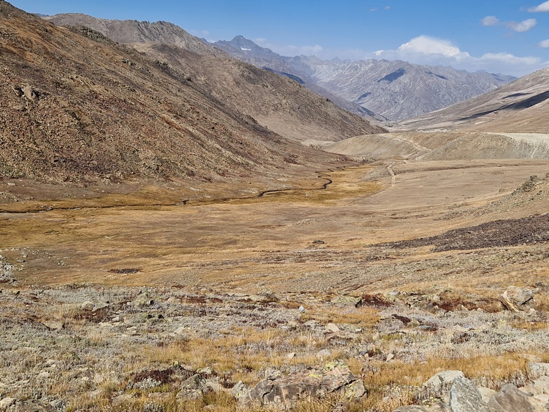 20250926_095332 (Kopiowanie).jpg