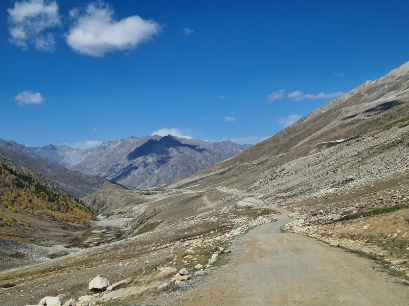 20250926_100619 (Kopiowanie).jpg