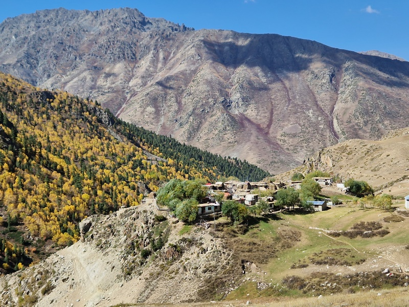 20250926_101208 (Kopiowanie).jpg