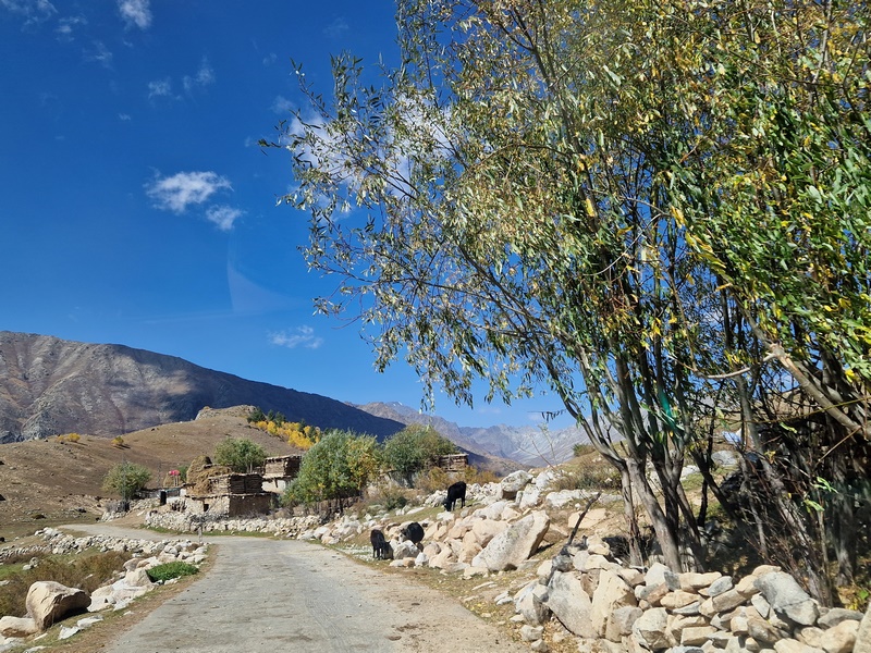 20250926_101405 (Kopiowanie).jpg