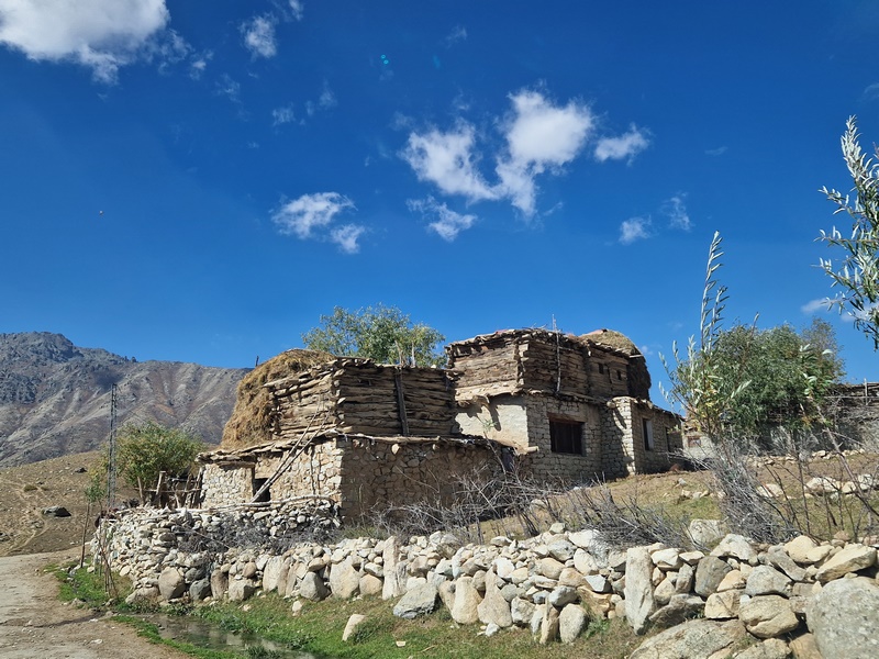 20250926_101412 (Kopiowanie).jpg