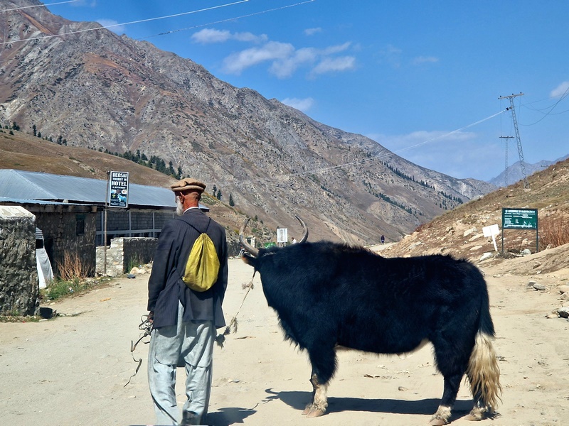 20250926_102326 (Kopiowanie).jpg