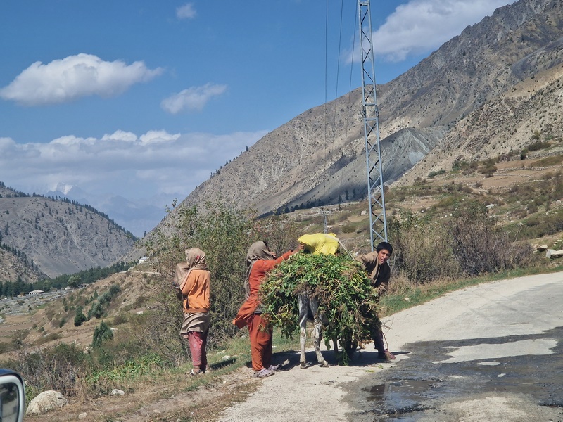 20250926_105158 (Kopiowanie).jpg