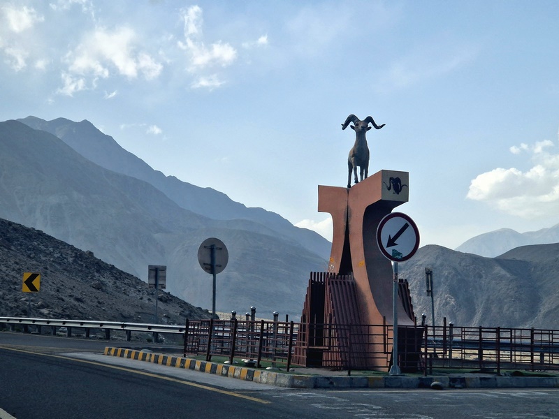 20250926_153304 (Kopiowanie).jpg