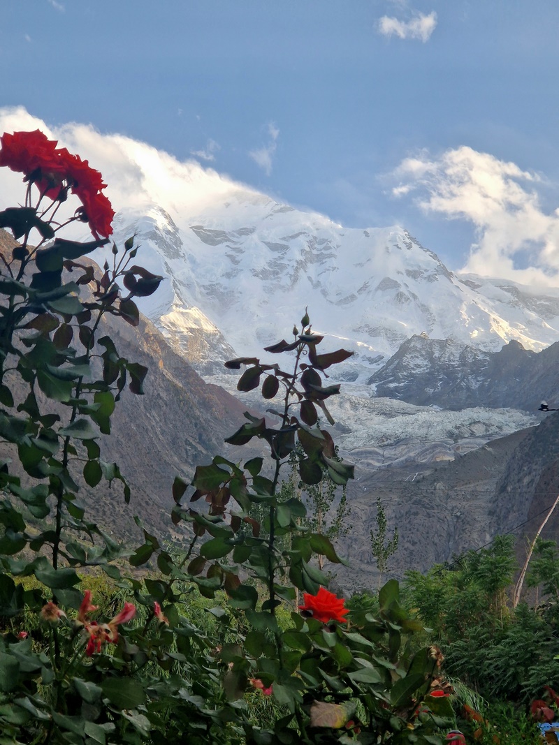 20250926_171607 (Kopiowanie).jpg