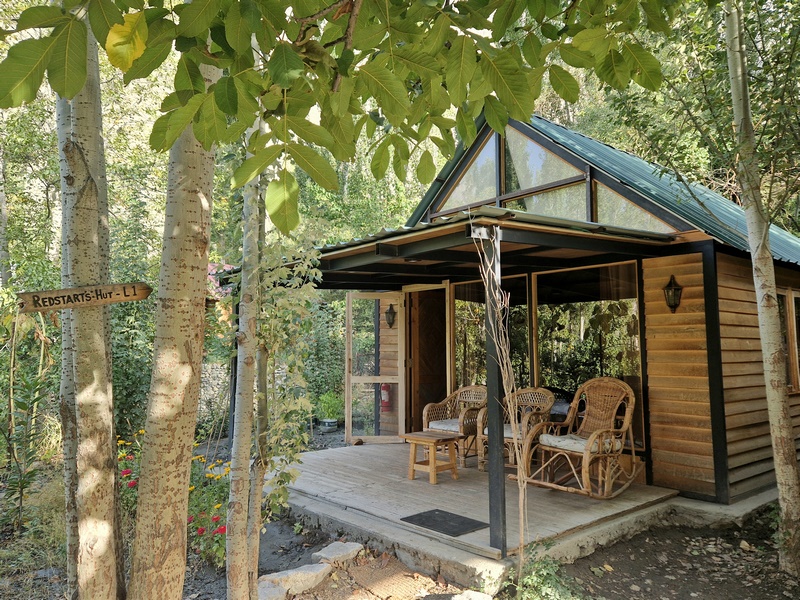 20250927_073312 (Kopiowanie).jpg