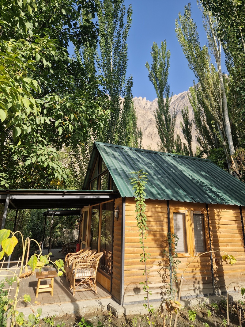 20250927_074641 (Kopiowanie).jpg