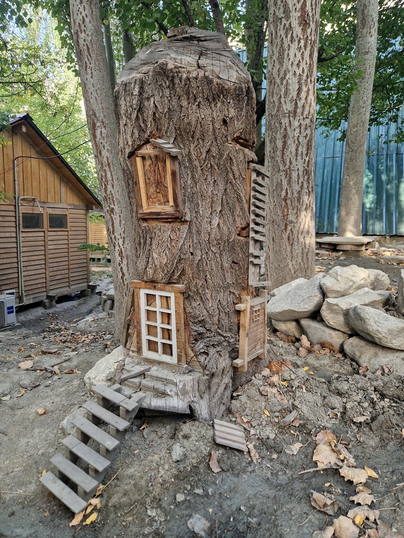 20250927_074918 (Kopiowanie).jpg