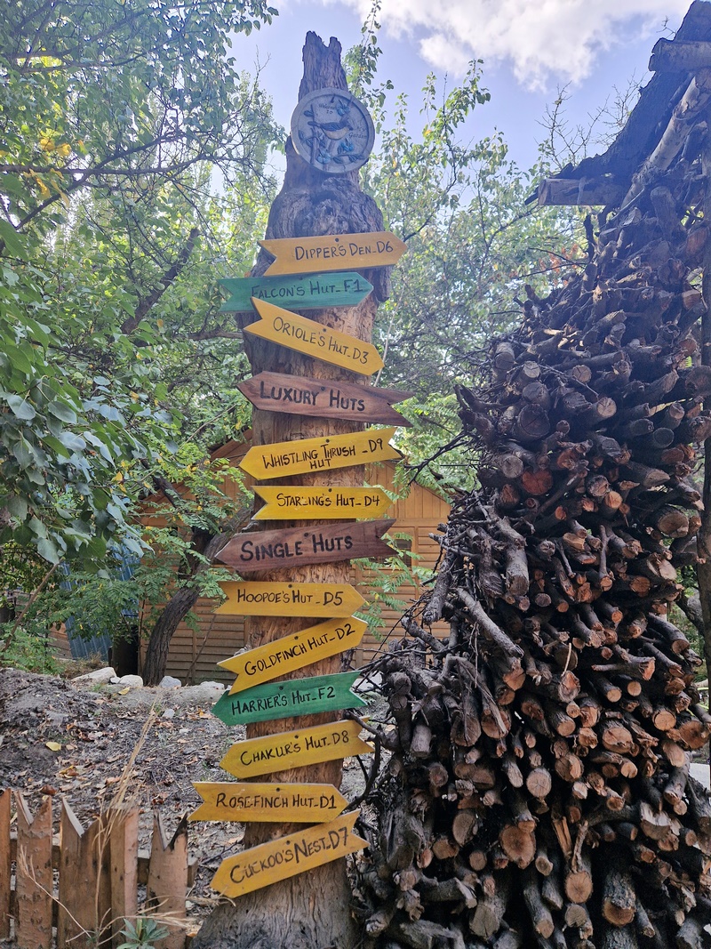 20250927_075059 (Kopiowanie).jpg