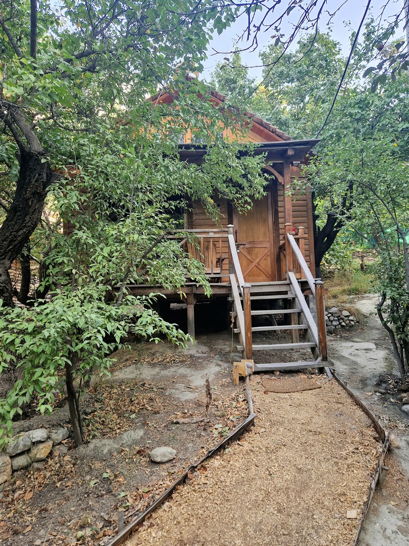 20250927_075301 (Kopiowanie).jpg