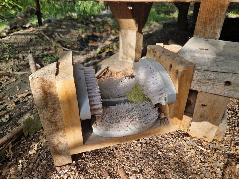 20250927_075354 (Kopiowanie).jpg