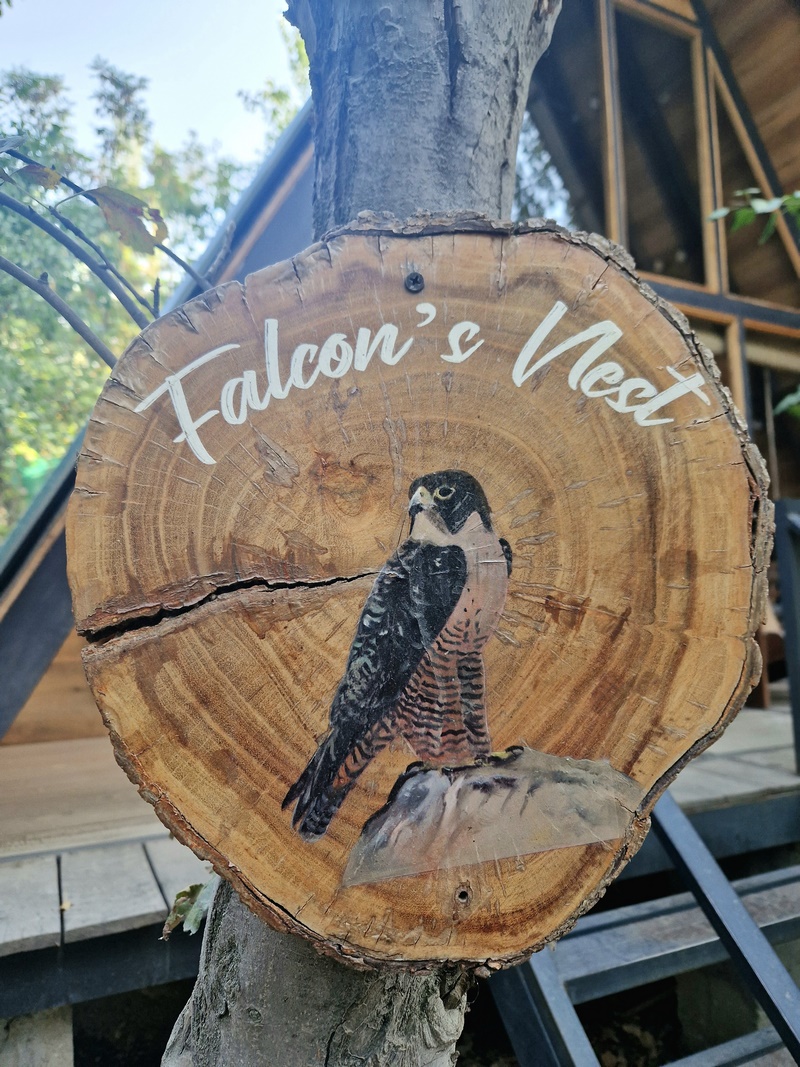 20250927_075443 (Kopiowanie).jpg