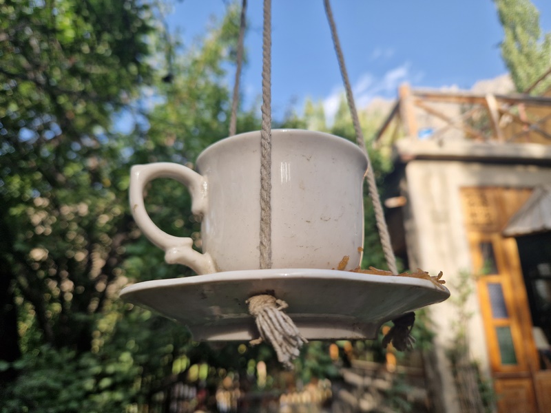 20250927_075622 (Kopiowanie).jpg