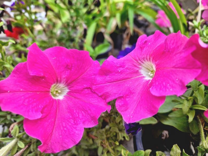 20250927_075746 (Kopiowanie).jpg