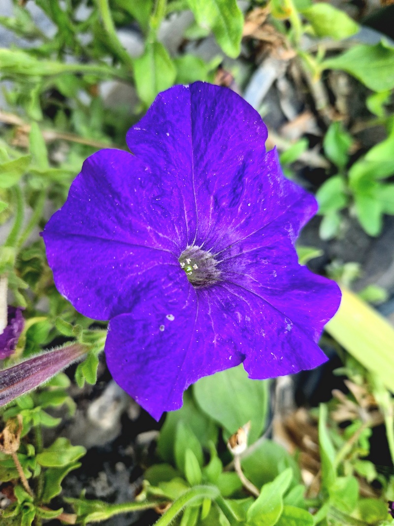 20250927_075759 (Kopiowanie).jpg