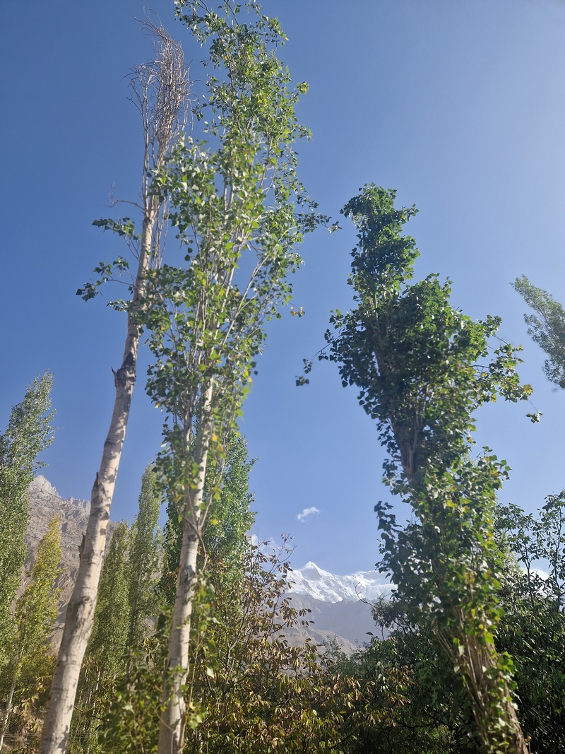 20250927_082534 (Kopiowanie).jpg