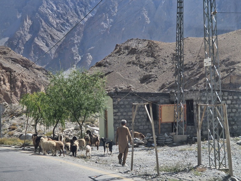 20250927_103731 (Kopiowanie).jpg