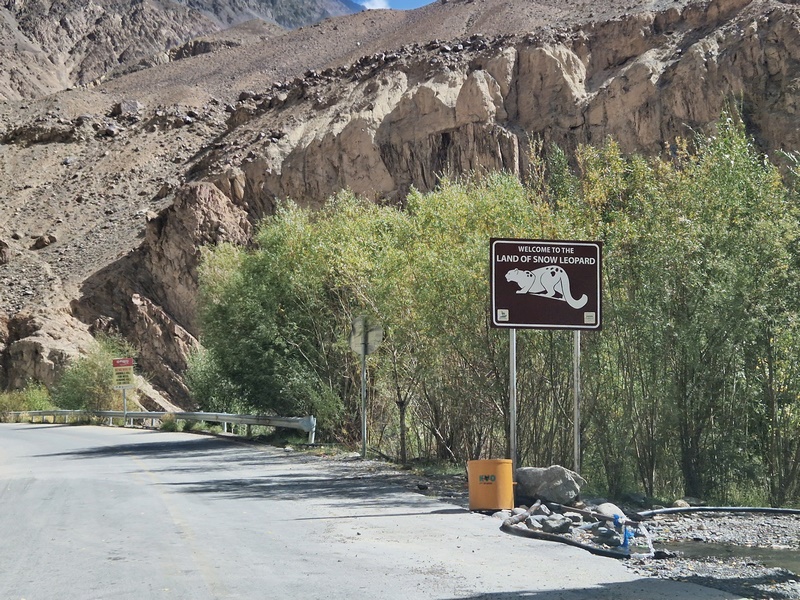 20250927_111043 (Kopiowanie).jpg