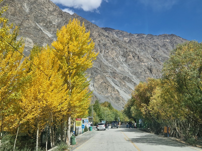 20250927_113751 (Kopiowanie).jpg