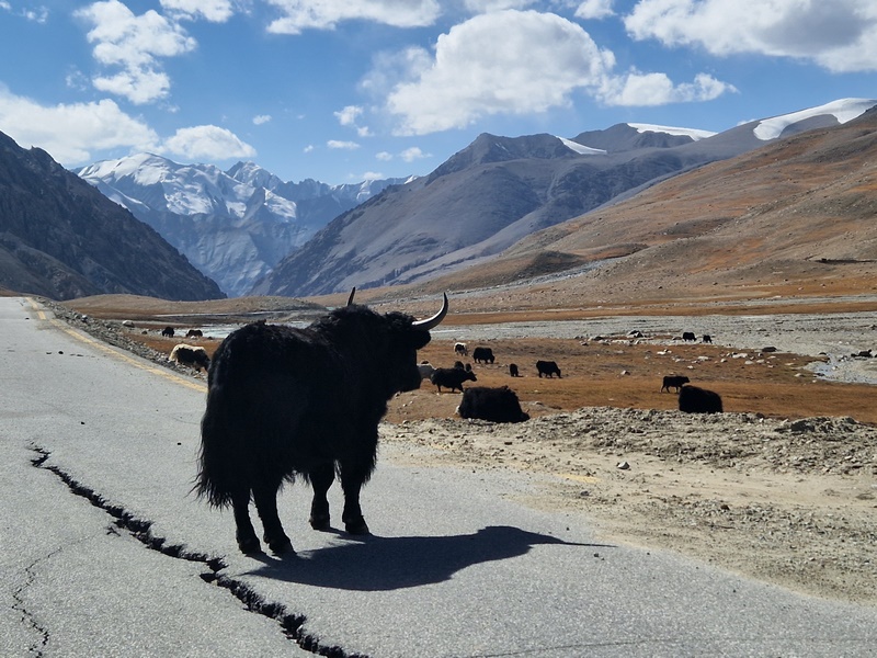 20250927_133418 (Kopiowanie).jpg