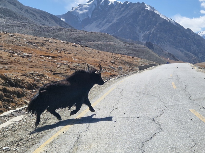 20250927_133435 (Kopiowanie).jpg