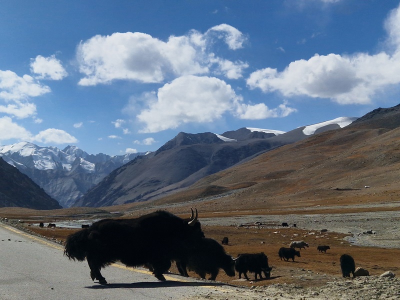 20250927_133437 (Kopiowanie).jpg