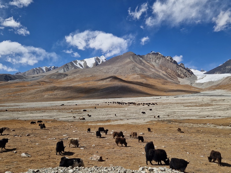 20250927_133449 (Kopiowanie).jpg