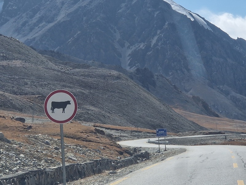 20250927_133535 (Kopiowanie).jpg