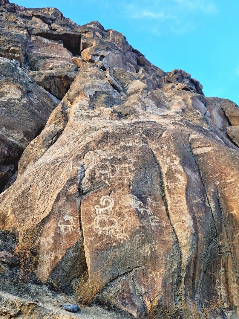 20250927_172417 (Kopiowanie).jpg