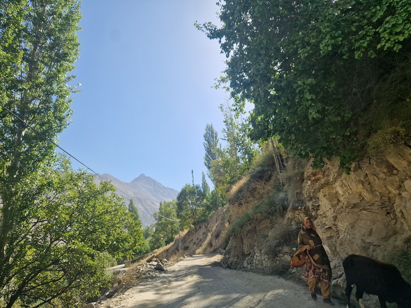 20250928_094104 (Kopiowanie).jpg