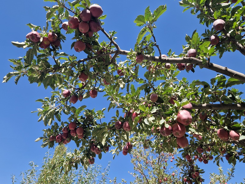 20250928_110204 (Kopiowanie).jpg