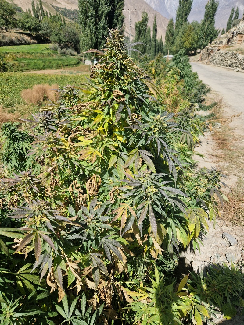 20250928_110951 (Kopiowanie).jpg