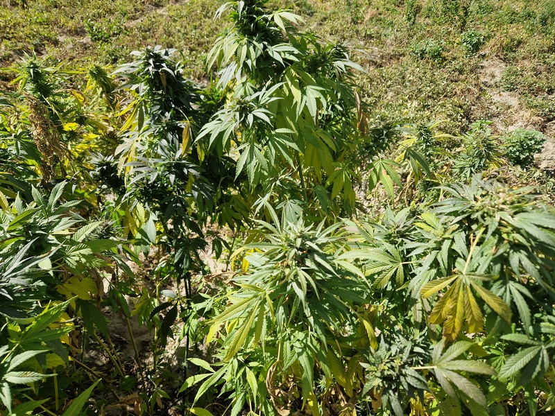 20250928_111001 (Kopiowanie).jpg