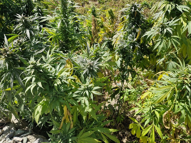 20250928_111002 (Kopiowanie).jpg