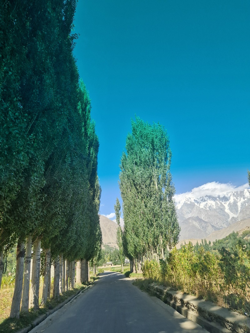 20250928_111230 (Kopiowanie).jpg