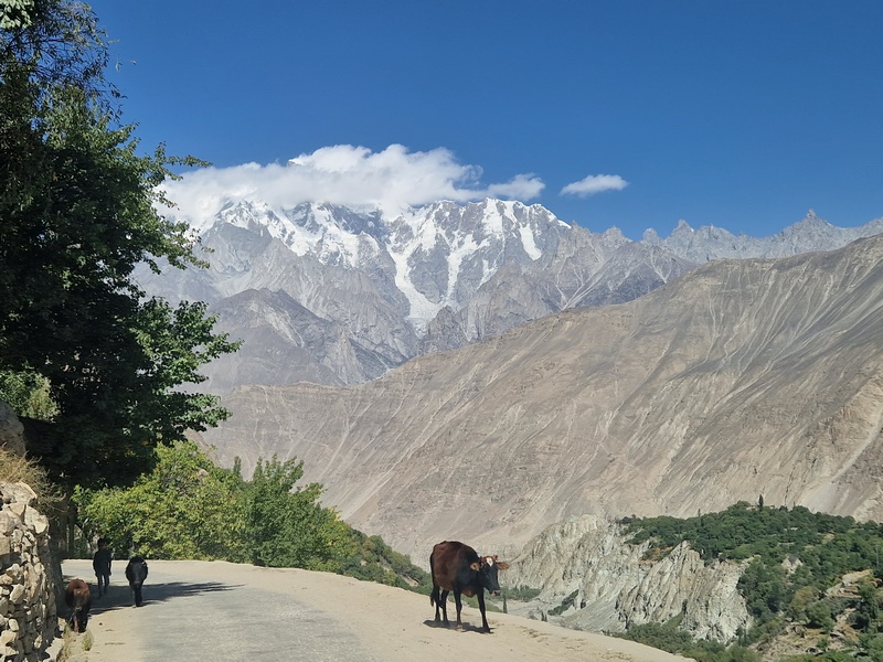 20250928_111739 (Kopiowanie).jpg