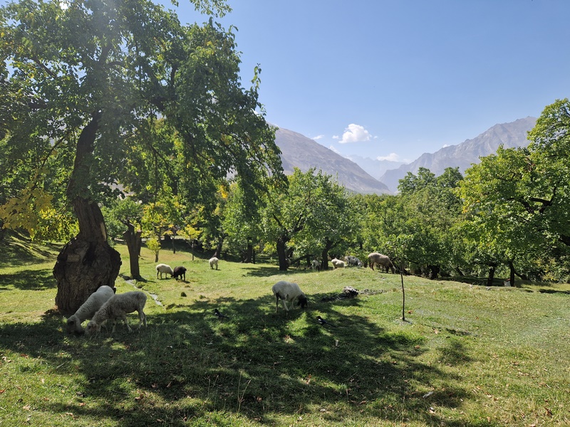 20250928_121130 (Kopiowanie).jpg