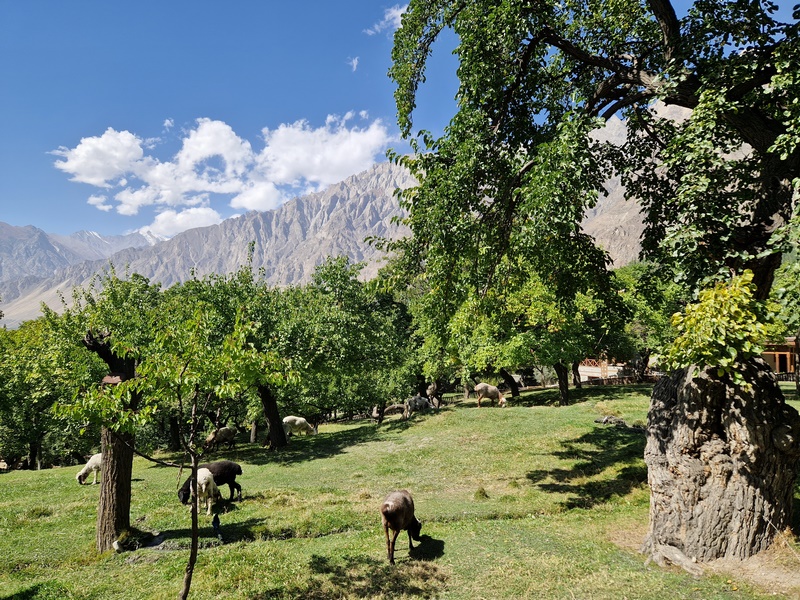 20250928_121153 (Kopiowanie).jpg