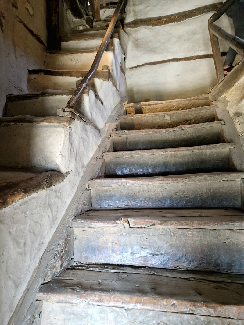 20250928_131654 (Kopiowanie).jpg